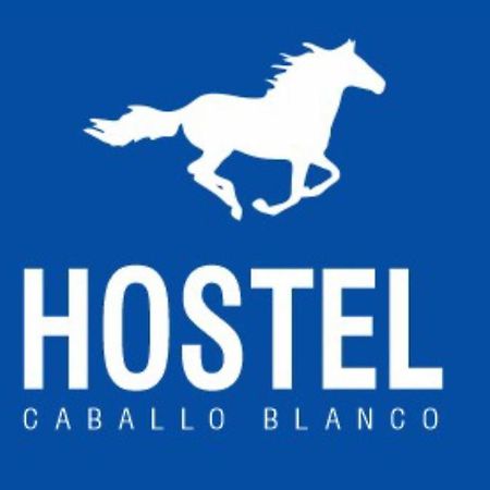 Hostel Caballo Blanco Картахена Экстерьер фото