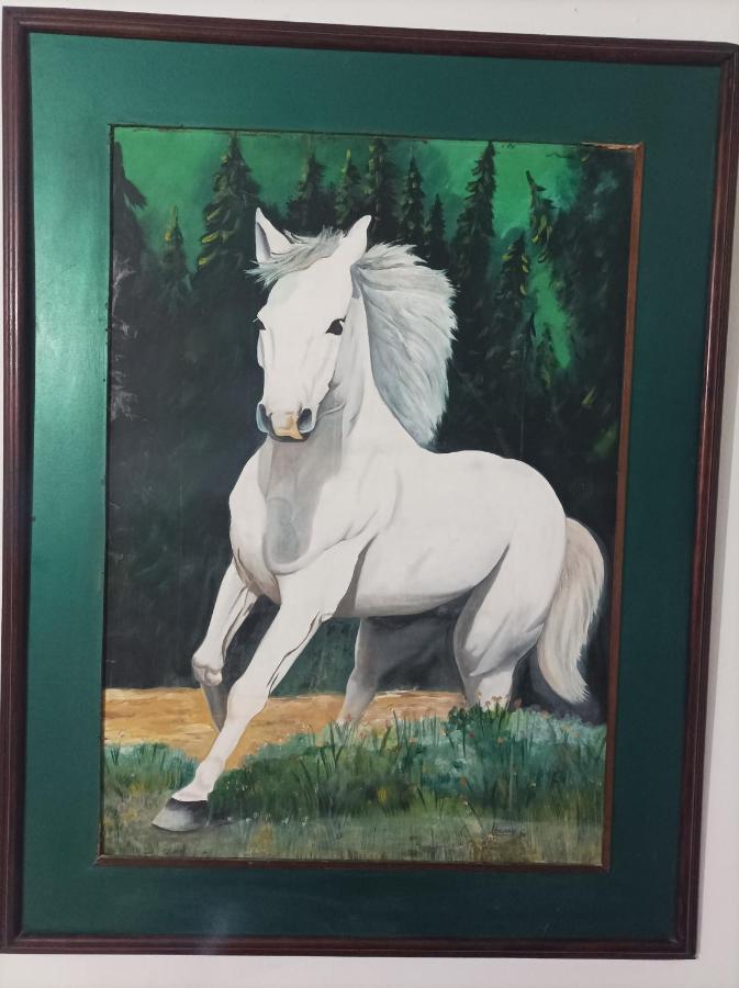 Hostel Caballo Blanco Картахена Экстерьер фото